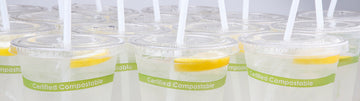 The Life Cycle of Biodegradable Cups