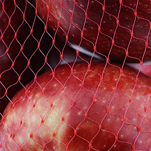 apples in a red mesh bag