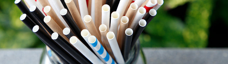 Eco Straws