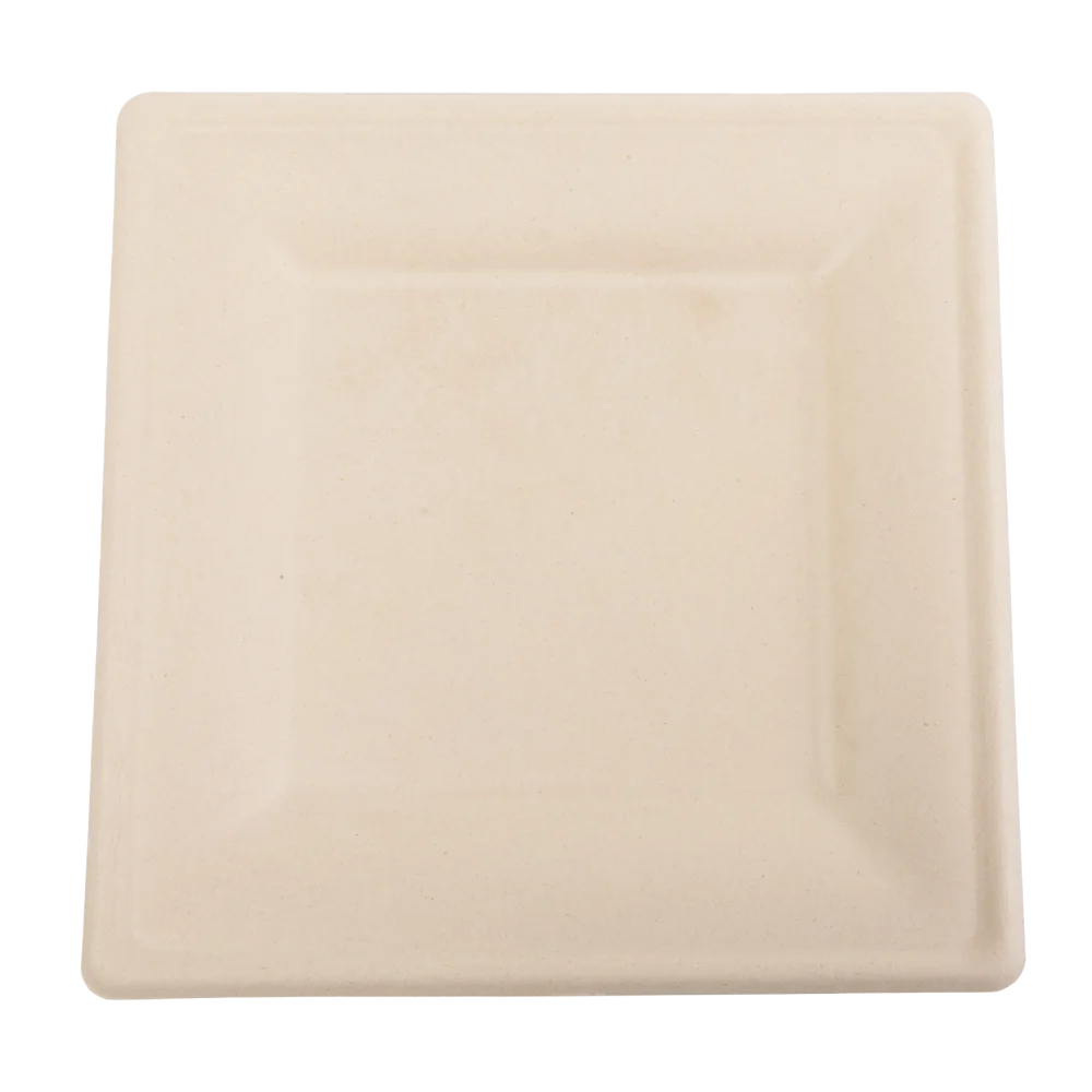 10" Square Heavy Molded Fiber Plates, Case of 250