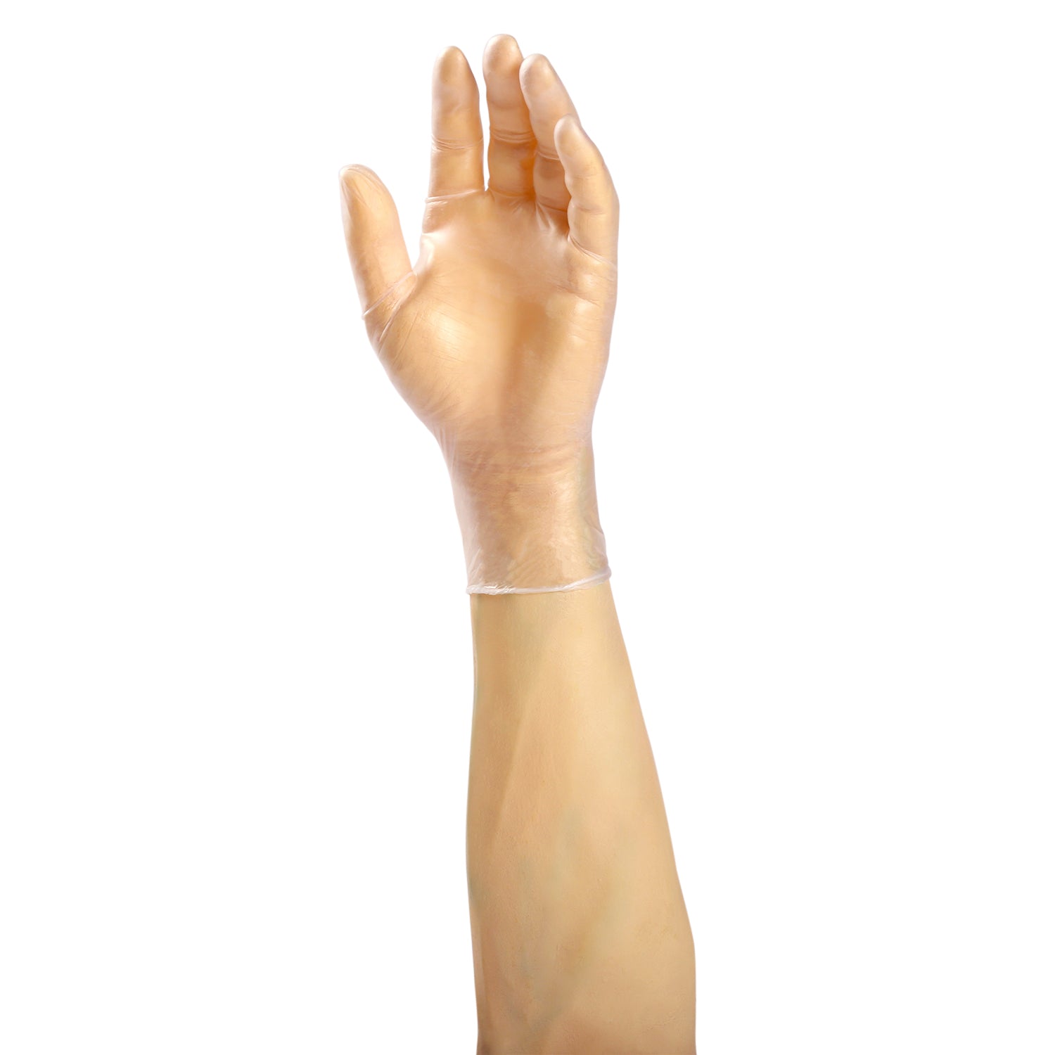 Sentinel Vinyl Gloves, Powdered, X-Large on hand.