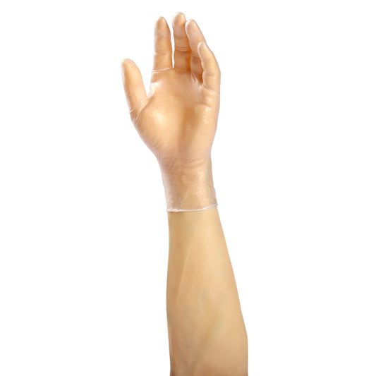 Sentinel Vinyl Gloves, Powdered, X-Large on hand.