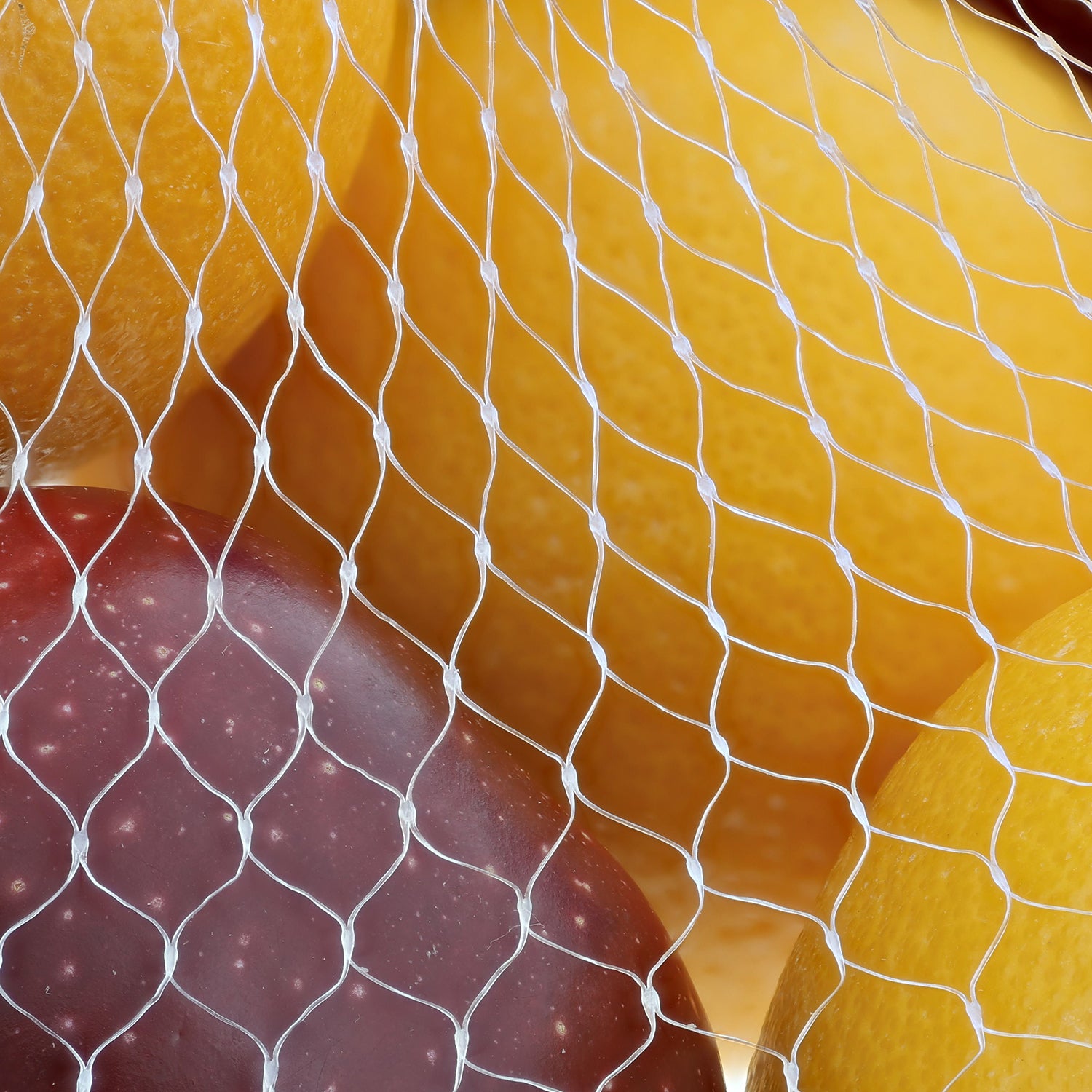 Close-up of Apples and Oranges in 24" Clear Plastic Mesh Bag
