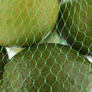 Close-up of Limes in 24