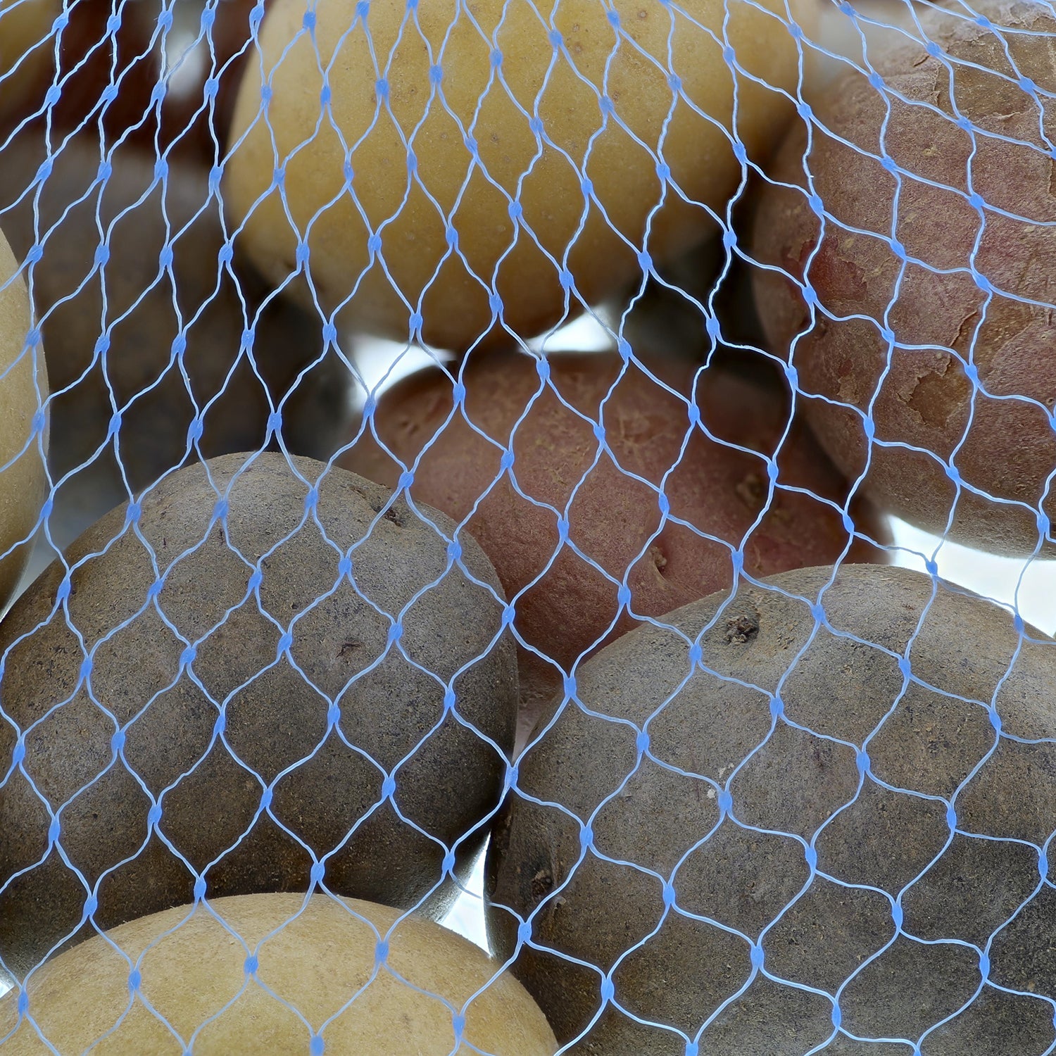 Close-up of Potatoes in 24" Blue Plastic Mesh Bag