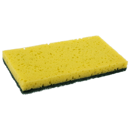 3.5" x 6.5" Scouring Pad/Sponge Combo