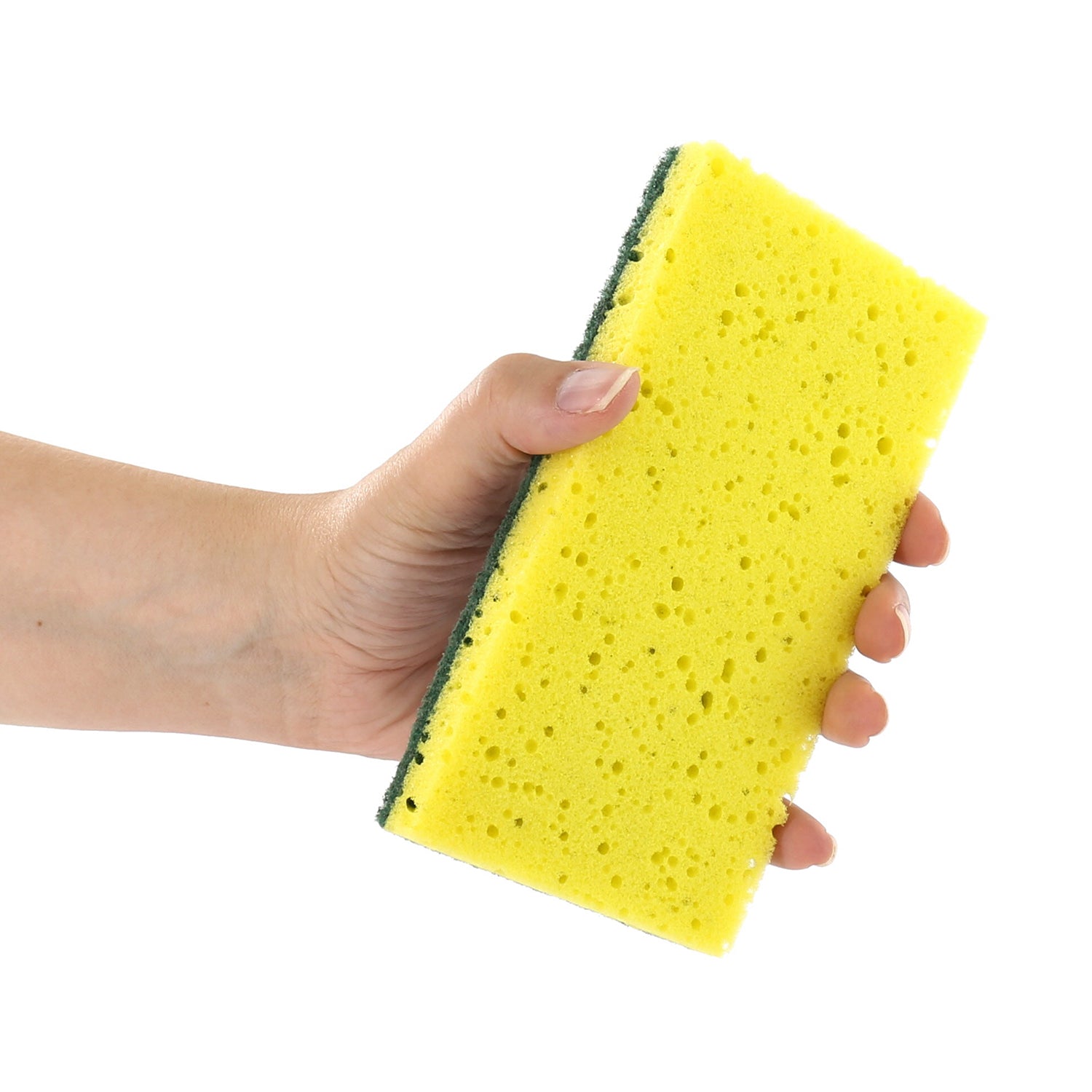 3.5" x 6.5" Scouring Pad/Sponge Combo