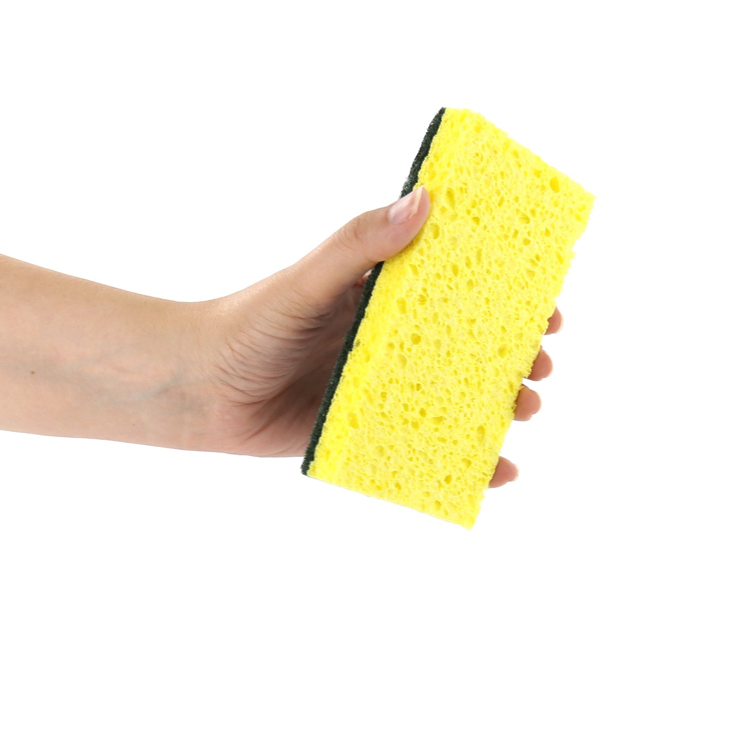 3.75" x 6.5" Green Heavy Duty Scouring Pad/Sponge Combo in Hand