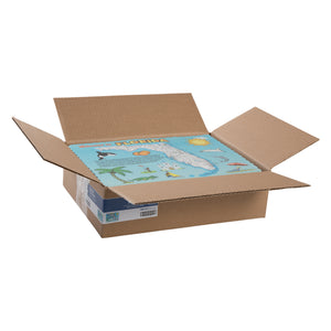 open case of Florida Design Placemats