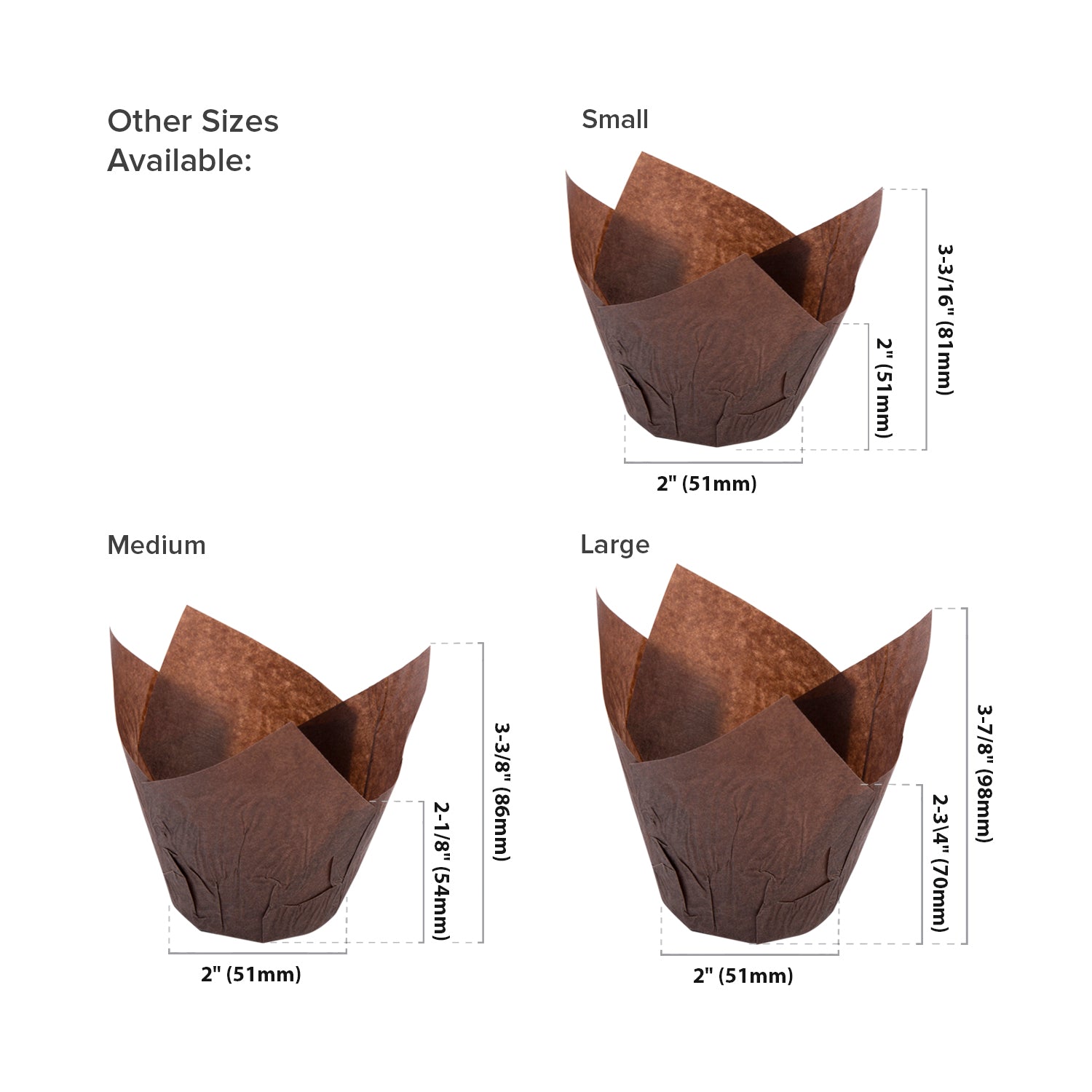 Tulip Cup Size Options
