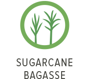 Sugarcane bagasse