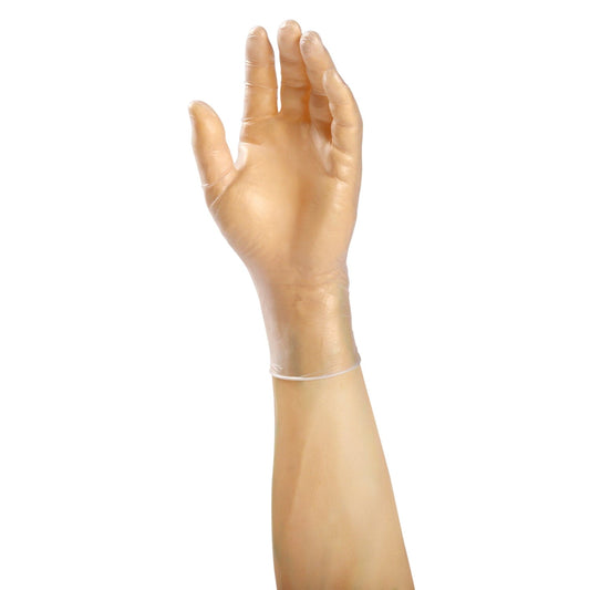 AmerCareRoyal Back of the House/Gloves/Vinyl Gloves Lightly-Powdered Vinyl Anchor Gloves (S-XL), Case of 1,000