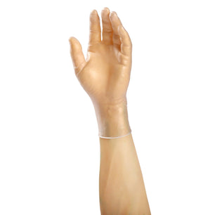AmerCareRoyal Back of the House/Gloves/Vinyl Gloves Lightly-Powdered Vinyl Anchor Gloves (S-XL), Case of 1,000