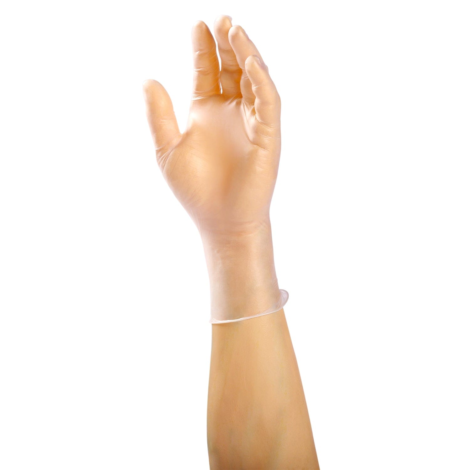 AmerCareRoyal Back of the House/Gloves/Vinyl Gloves Powder-Free Vinyl Anchor Gloves (S-XXL), Case of 1,000