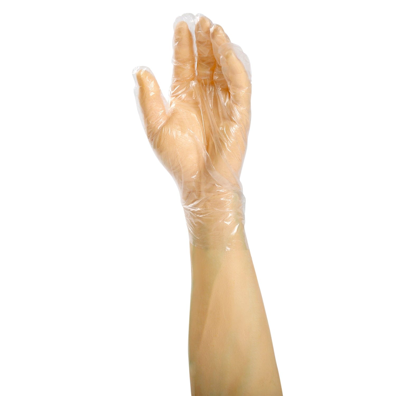 AmerCareRoyal Back of the House/Gloves/Poly Gloves Powder-Free Poly Foodguard Embossed HDPE Gloves (S-XL), Case of 10,000