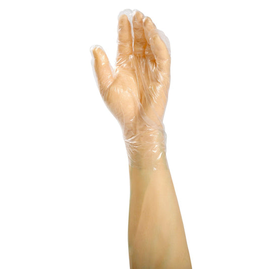 AmerCareRoyal Back of the House/Gloves/Poly Gloves Powder-Free Poly Foodguard Embossed HDPE Gloves (S-XL), Case of 10,000