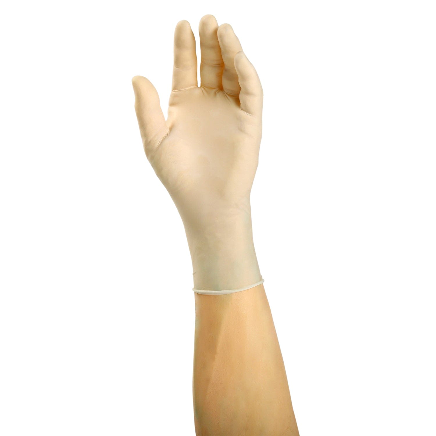 AmerCareRoyal Back of the House/Gloves/Latex Gloves Powder-Free Latex Apollo Gloves (S-XL), Case of 1,000