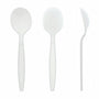 AmerCareRoyal Take-Out/Dine-In/Disposable Cutlery And Utensils/Disposable Cutlery/Disposable Spoons Heavy White Polystyrene Soup Spoons, Case of 1,000