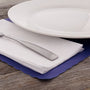 CiboWares.com Take-Out/Dine-In/Napkins and Accessories/Napkins 12