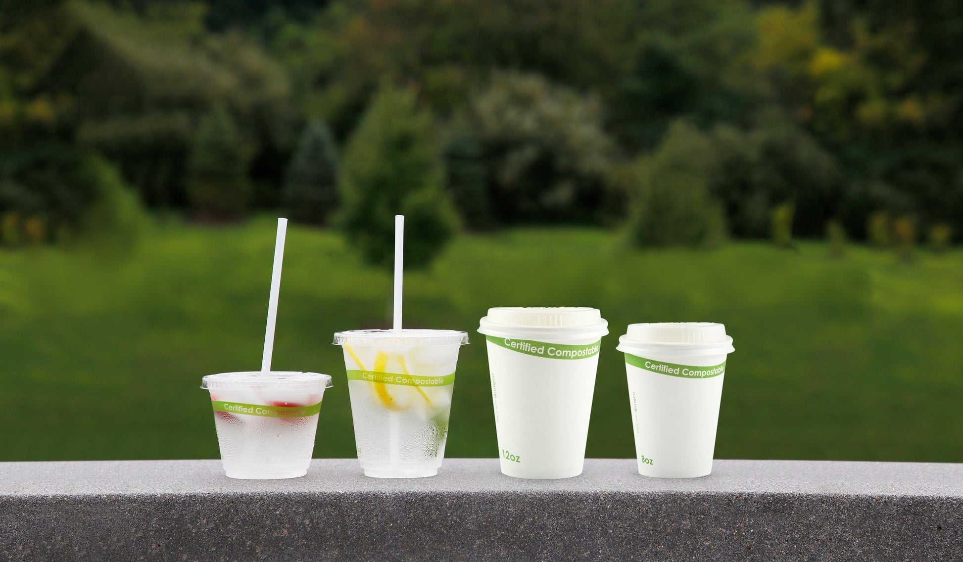 CiboWares.com Take-Out/Dine-In/Disposable Beverage Supplies/Disposable Cups And Lids/Disposable Lids 8 oz. CPLA Hot Cup Lids, Case of 1,000