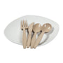 CiboWares.com Take-Out/Dine-In/Disposable Cutlery And Utensils/Disposable Cutlery/Disposable Spoons 6