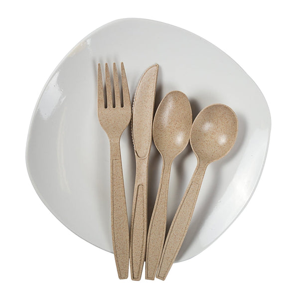 CiboWares.com Take-Out/Dine-In/Disposable Cutlery And Utensils/Disposable Cutlery/Disposable Spoons 6